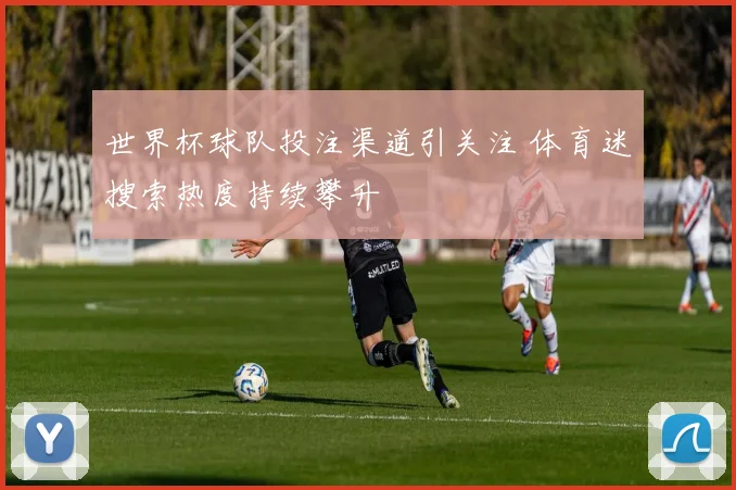 世界杯球队投注渠道引关注 体育迷搜索热度持续攀升