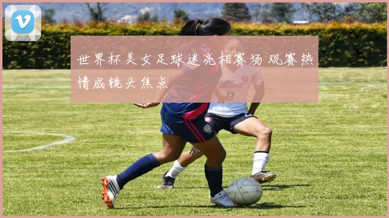 世界杯美女足球迷亮相赛场 观赛热情成镜头焦点